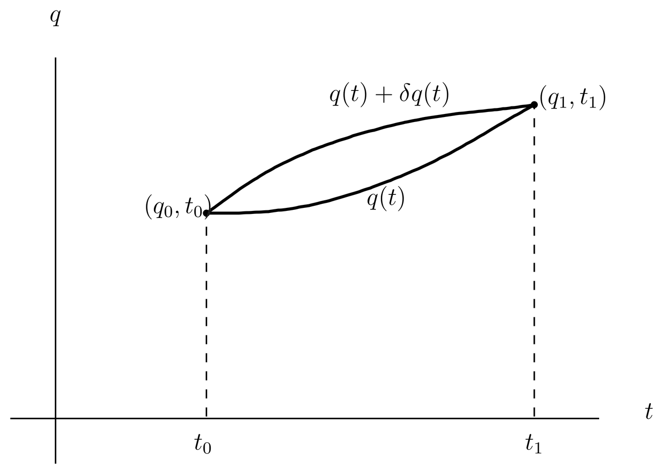 A path q(t) satisfying fixed boundary conditions q(t_0)=q_0 and q(t_1)=q_1. Also shown is a modified path q(t) + \delta q(t), satisfying the same endpoint and endtime conditions.