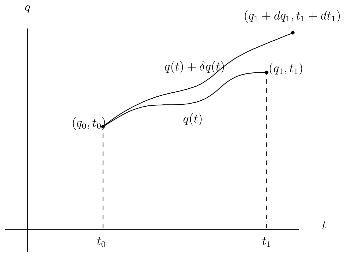 A path q(t) satisfying fixed boundary conditions q(t_0)=q_0 and q(t_1)=q_1. Also shown is a modified path q(t) + \delta q(t), satisfying the same endpoint and endtime conditions.