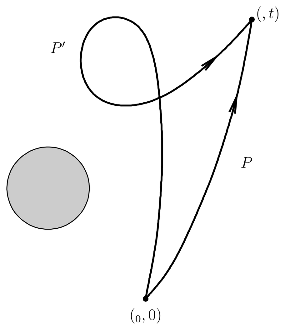 Any two paths that are homotopic, such as P and P', give rise to the same magnetic action.
